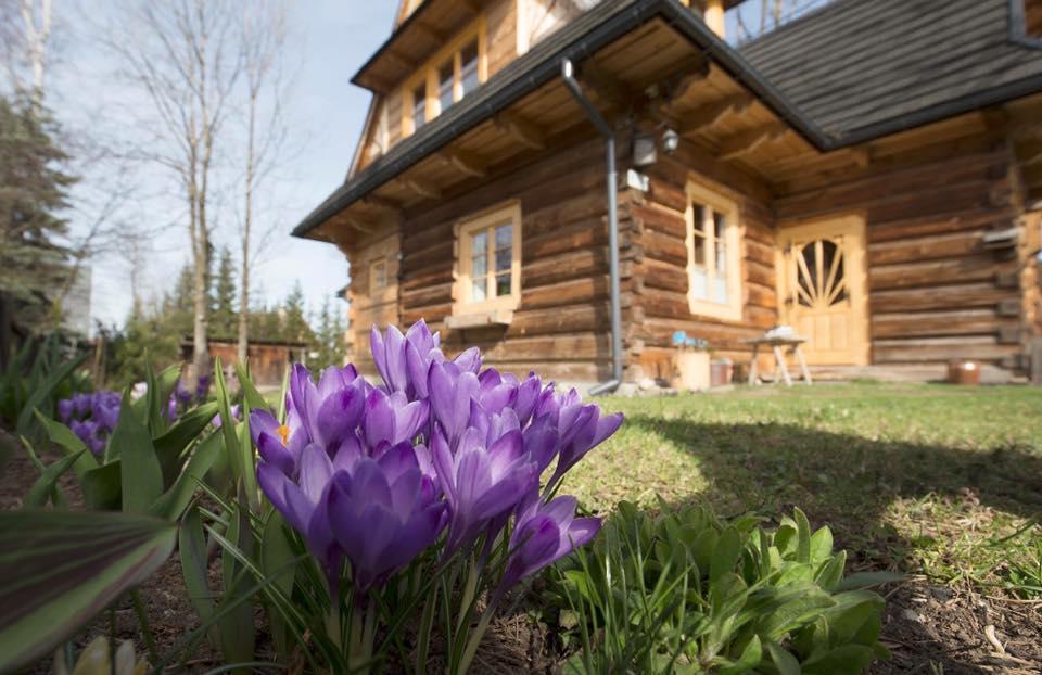 Dom Numer 3 Zakopane Exterior foto